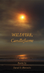 wildfire